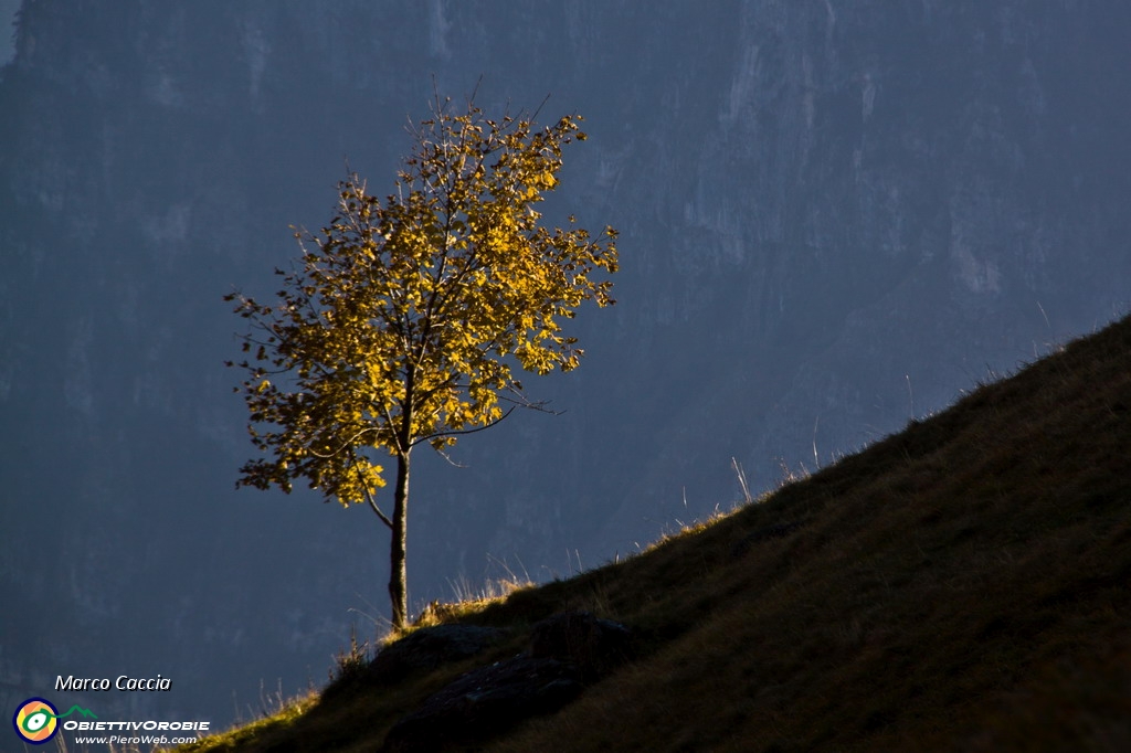 39_Autunno in val d'inferno.JPG